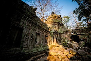 Fototapeta premium Ta Prohm temple Angkor Wat