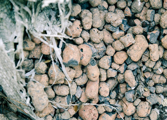 Expanded Clay Aggregate. Close-up with Shallow Depth of Field. 