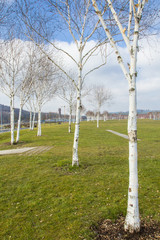 ex industrial area