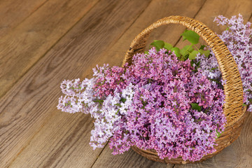 Fresh lilac flowers in the basket on the wooden table.