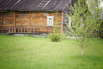 Country house in the village wilderness
