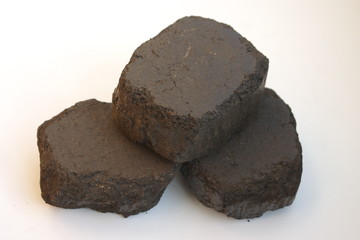 Coal isolated on white backgroud