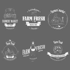 Naklejka premium Farm Fresh Products Badge Set.