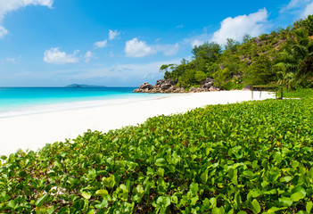 Beautiful Paradise beach - Anse Georgette at Praslin, Seychelles