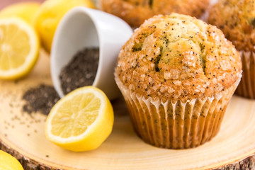 fresh baked lemon poppyseed muffins