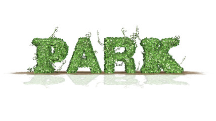 park - logo from ivy leaves - separated on white BG
