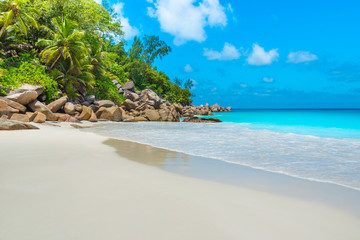 Paradise beach on tropical island  - Seychelles