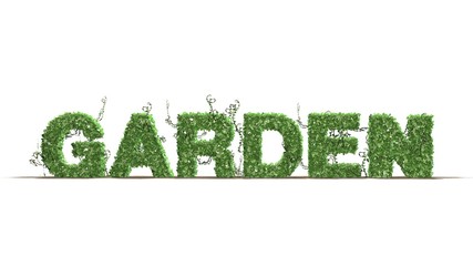 Garden - logo from green ivy leaves - separated on white BG