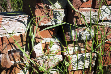 Alte Backsteine mit Gräsern