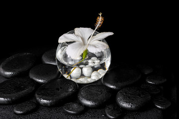 spa concept of white hibiscus flower in round vase with pearl be