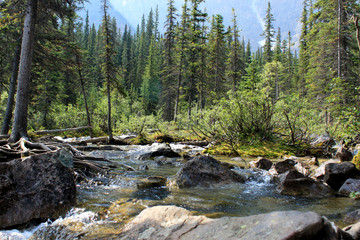 Moraine Lake, alberta, canada