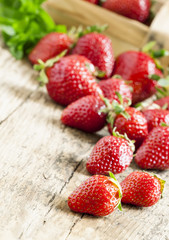 Fresh strawberries, selective focus