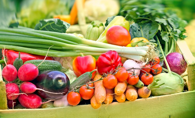 Fresh organic vegetables