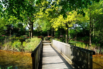 Rhododendronpark Bremen