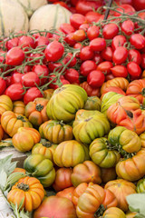 vegetables / fresh tomatoes 