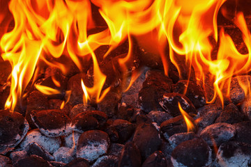 Bilder und Videos suchen: grillfeuer