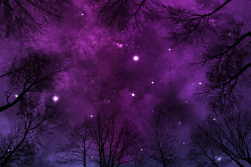 Fototapeta na wymiar Sternenhimmel im Wald mit violetten Wolken, Frosch-Perspektive