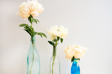 Peonies in Glass Bottles