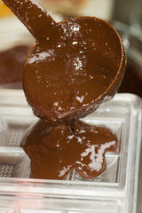 Ingredients for preparation of artisanal chocolate bar