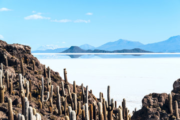 Isla de Pescadores, Salt lake Uyuni in Bolivia