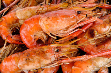 Close up Grilled shrimp with flames