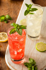 Organic Fresh Italian Soda