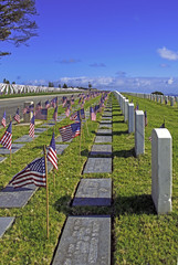 Flags and Grave Markers