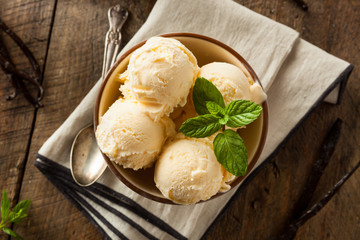Homemade Organic Vanilla Ice Cream