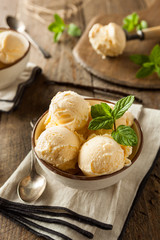 Homemade Organic Vanilla Ice Cream