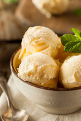 Homemade Organic Vanilla Ice Cream