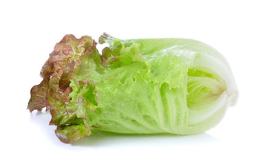 lettuce isolated on the white background