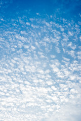 Evening sky and cloud ,nature background