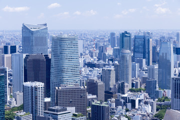 Fototapeta na wymiar 東京都心の高層ビル群