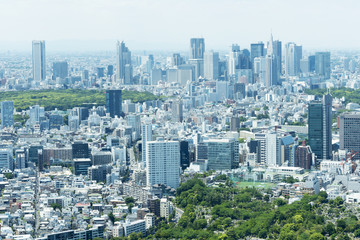Fototapeta na wymiar 新宿高層ビル群と街並