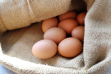 Closeup of Chicken eggs in the sackcloth