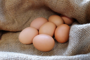 Closeup of Chicken eggs in the sackcloth