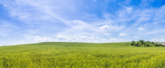 Panoramic view of farmland day scene background