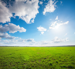 Green field under blue cloudy sky whit sun