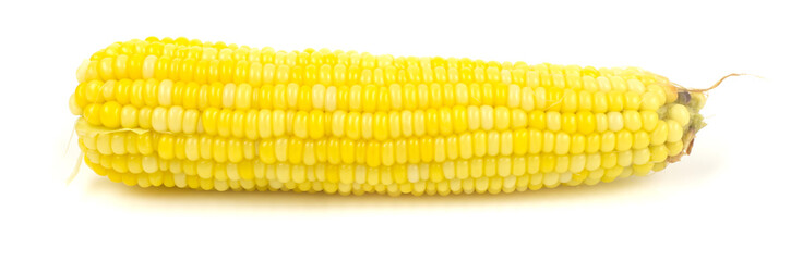 Fresh corns on white background