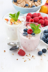 Berry and fruit yoghurt for breakfast