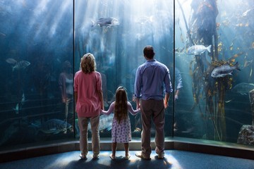 Family looking  at fish tank