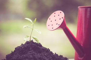 Young plant  with filter effect retro vintage style
