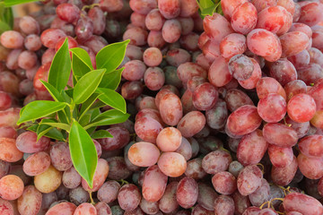 Fresh Grapes