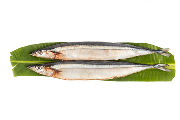 Fresh Japanese Sanma fish