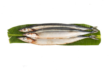 Fresh Japanese Sanma fish