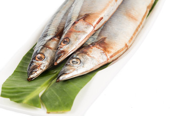 Fresh Japanese Sanma fish
