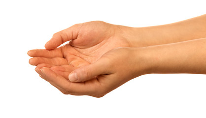 Hands holding something