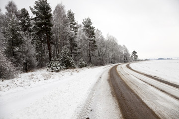 Fototapeta premium the winter road 