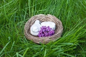 Porcelain birds in a nest on green grass background