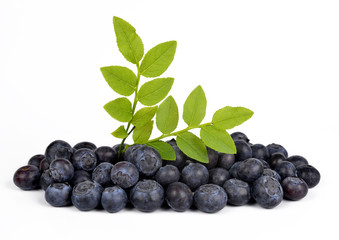 Blueberries with green leaf isolated on white background